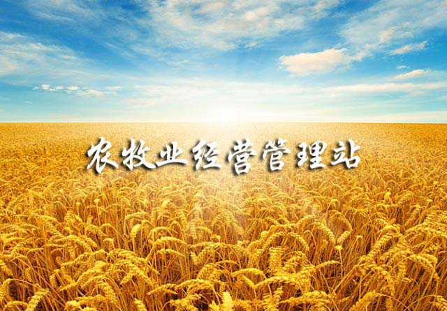 呼和浩特市賽罕區(qū)農(nóng)業(yè)經(jīng)營管理站